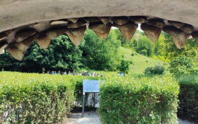 PARK PRIRODE PAPUK