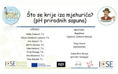 ICSE SCIENCE FACTORY 2026.